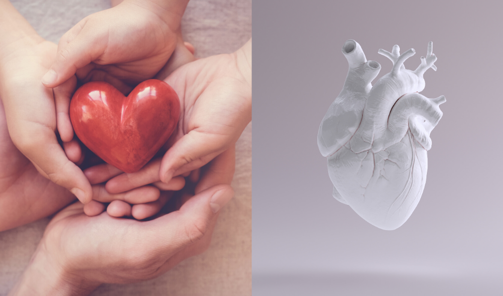 Healing the Heart: Physical and Emotional Healing